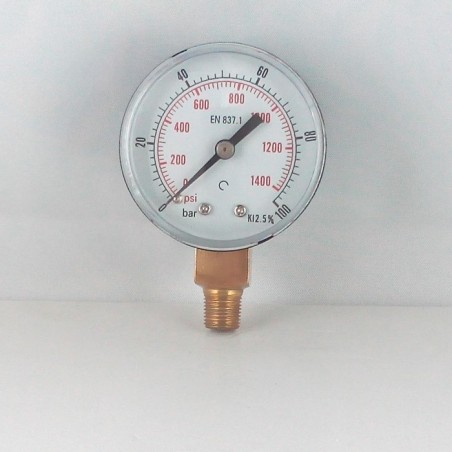 Dry pressure gauge 100 Bar diameter dn 50mm 1/8"Bspt connection