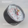 Dry pressure gauge 100 Bar diameter dn 63mm back