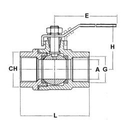 Full bore stainless steel 1/2" ball valves