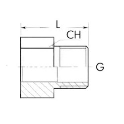 Raccordo adattatore inox da F 1/2" Gas a  M 1/2" NPT