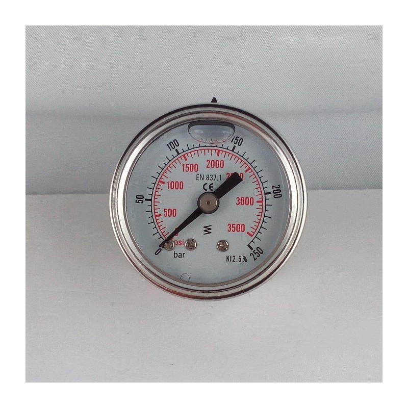 Glycerine filled pressure gauge for washer 315 Bar dn 63mm back