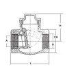 Valvola di ritegno a Clapet in acciaio INOX aisi 316 Filettata Femmina 1/4"Gas