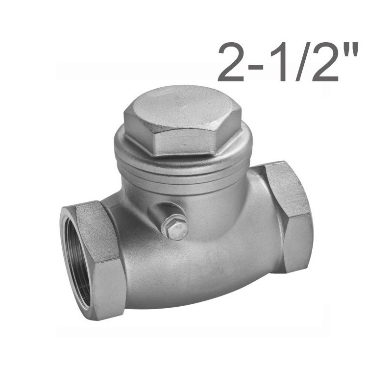 Stainlees steel aisi 316 Unidirectional swing check valve Female 2-1/2"Bsp