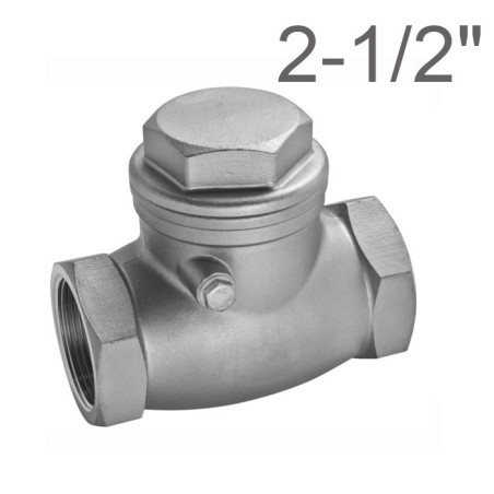 Stainlees steel aisi 316 Unidirectional swing check valve Female 2-1/2"Bsp