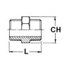 Stainless Steel conical nipple aisi 1/8"Bspt