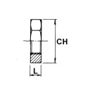 Stainless Steel nut aisi 1/8"Bspt
