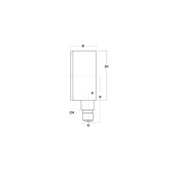 Oxygen pressure gauge 16 Bar diameter dn 63mm bottom
